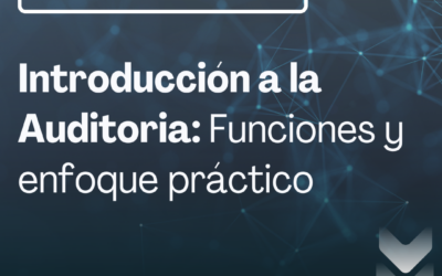 Introducción a la Auditoria: Funciones y enfoque práctico